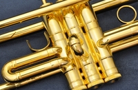 Hamanaga valve.jpg